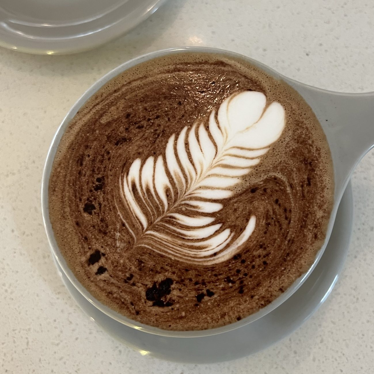A rosetta latte art pour, it looks like a feather. 